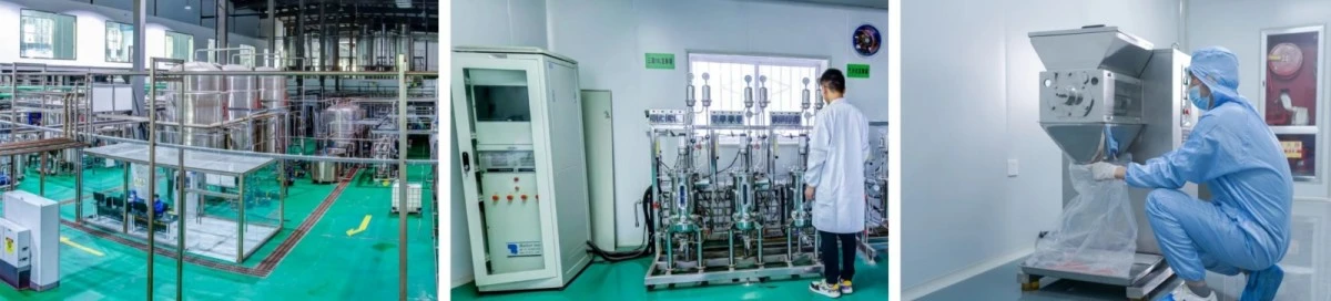 product-1063-241 factory