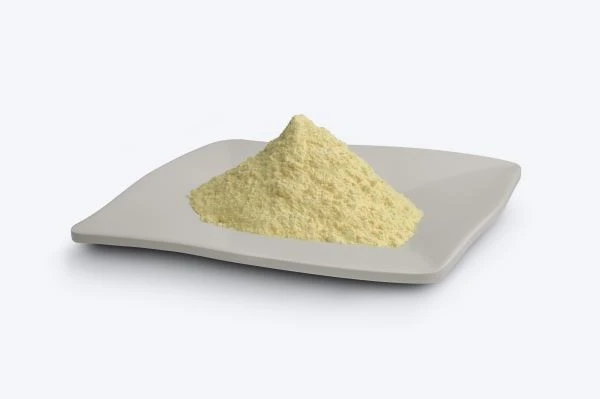 Freeze-dried Orange Powder