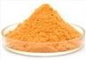 Sea Buckthorn juice Powder